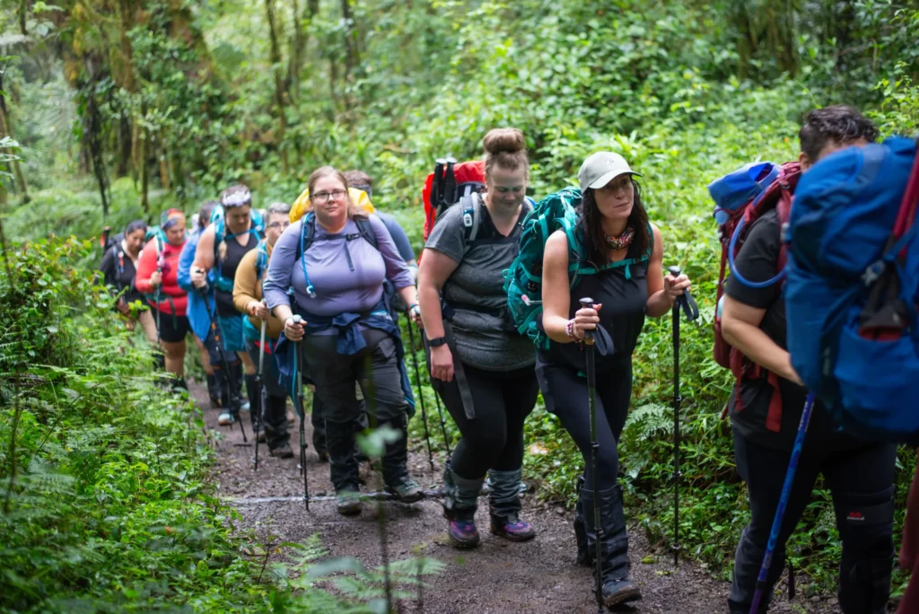 KILIMANJARO GROUP CLIMBS VIA LEMOSHO ROUTE